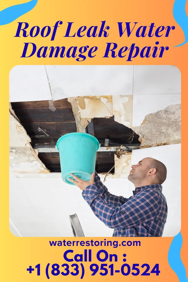 Roof Leak Water Damage Repair in Almena, WI